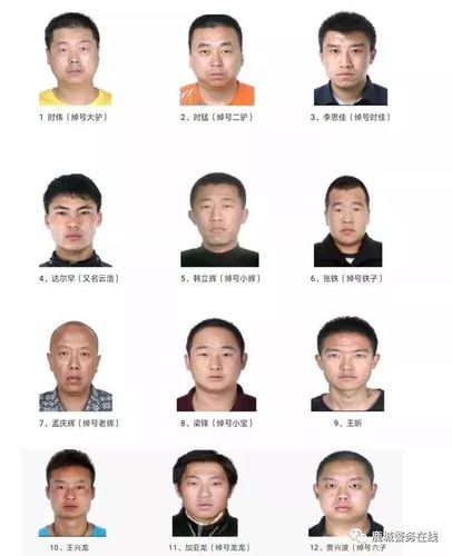 包头警方征集这些人违法犯罪线索