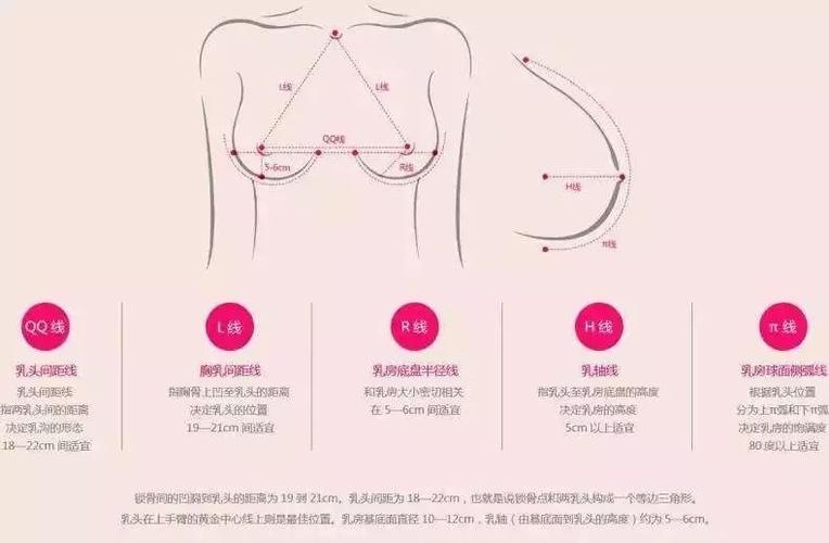 美胸丨为您保持最美胸型