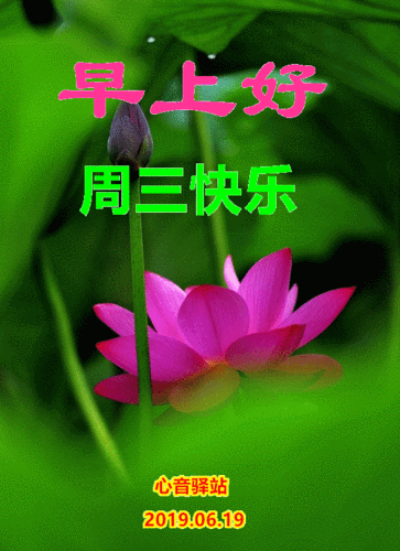 早上好,周三快乐!