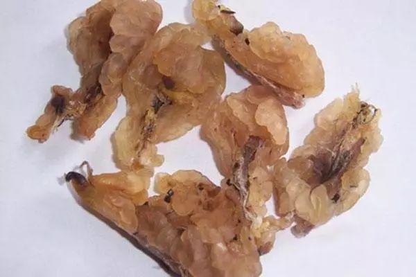与熊掌,猴头,飞龙并称长白山四大山珍——雪蛤
