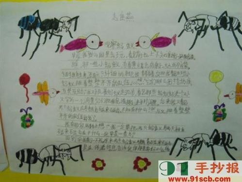 蚂蚁的观察日记手抄报 西游记手抄报