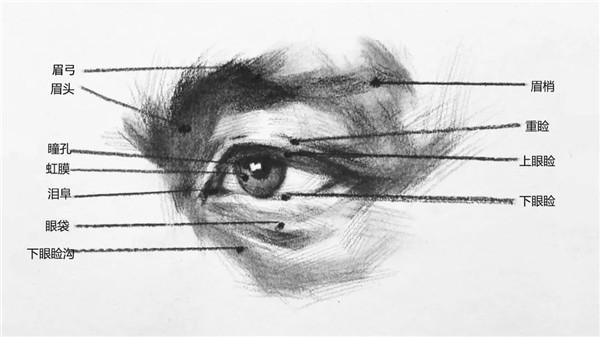 素描五官画法大全,看这一篇统统搞定!