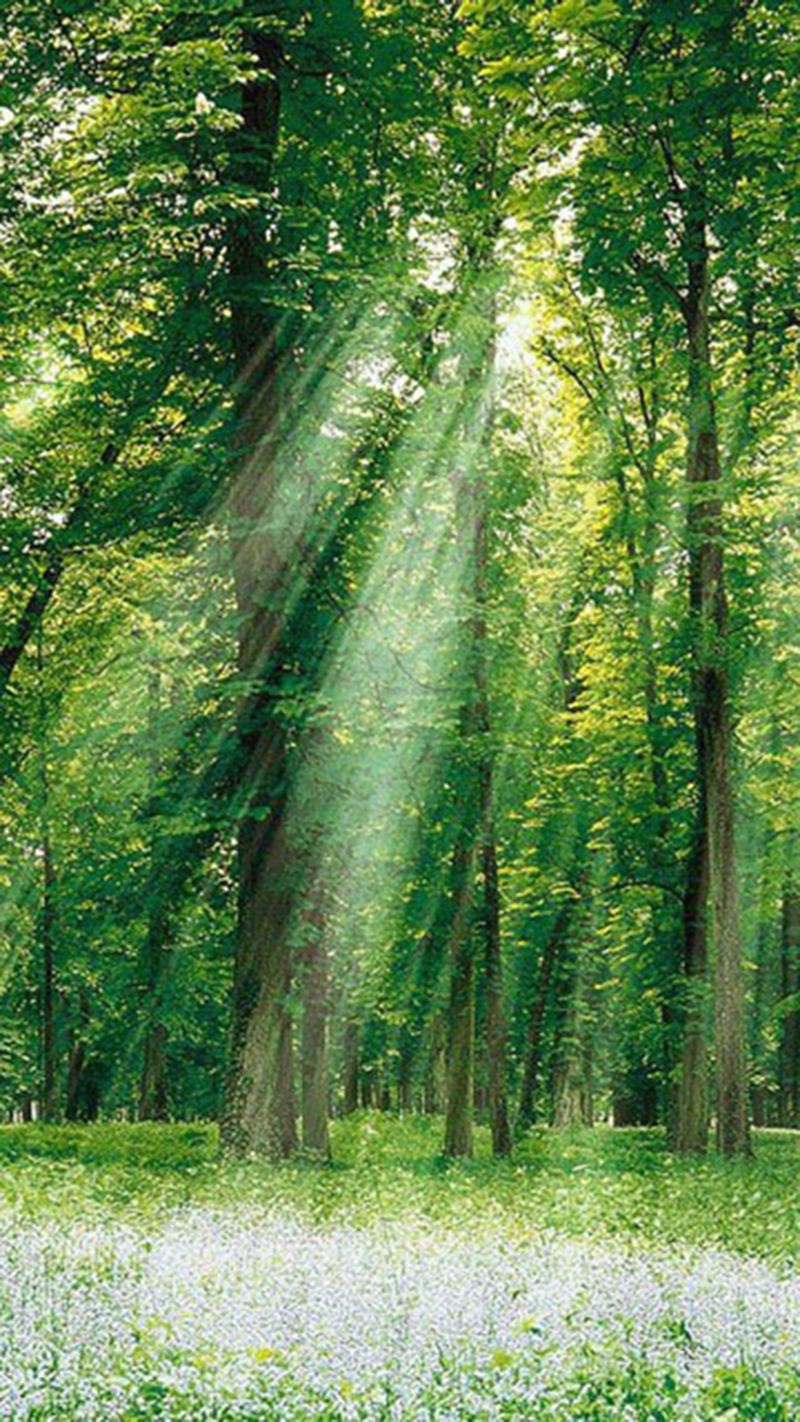 唯美的自然风景高清图片手机壁纸