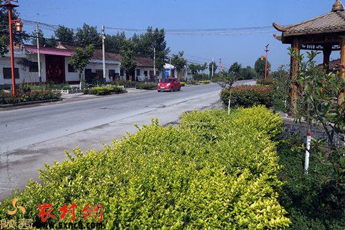 大荔埝桥镇用"美丽"向你展示"五大重点工作"