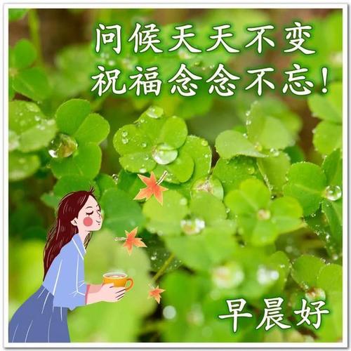 深情问候早上好祝福图片秋天早晨好问候美图