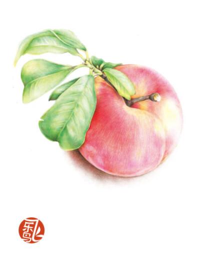 彩铅画