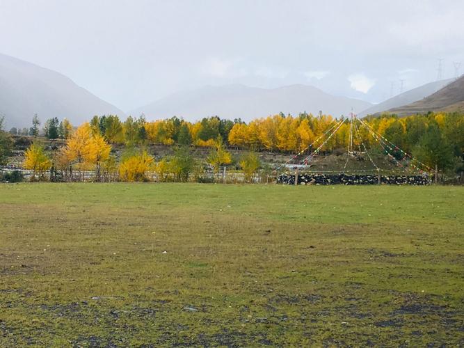 最是一年秋好处,草色遥看近却无.