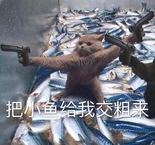 表情包我先去下个世界了