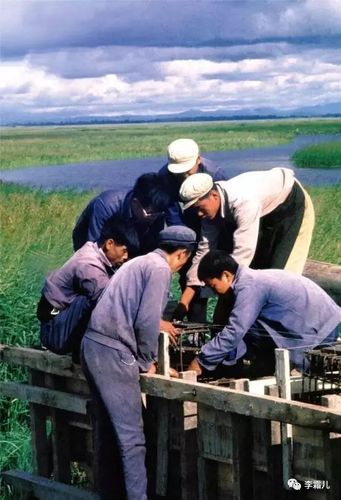一组老照片,真实反映70年代中国农村