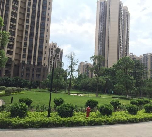 坑口 保利西悦湾 精装大三房 周边生活配_广州租房