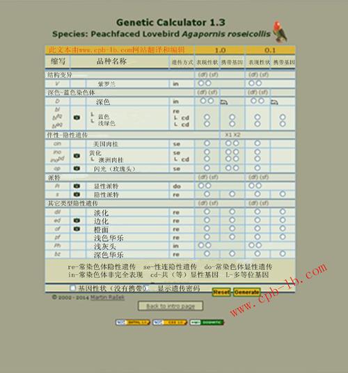 改良羽色-牡丹鹦鹉爱好者之家