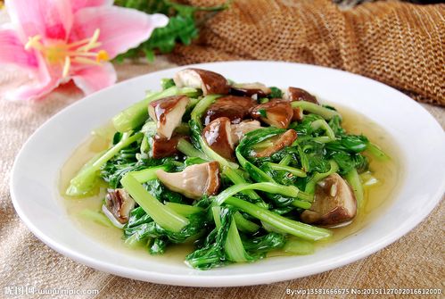 香菇青菜图片