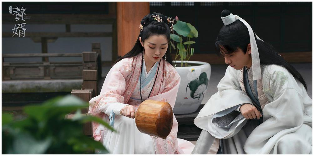 赘婿郭麒麟主演好玩又好笑的轻喜剧我说的是电视剧哦