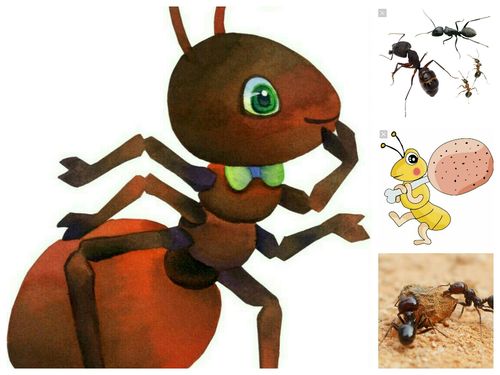 拥抱自然 探索蚂蚁的微观世界——黄河路第二小学一·二班风速队观察