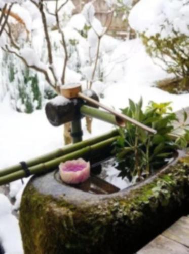 溪花与禅意,相对亦忘言.