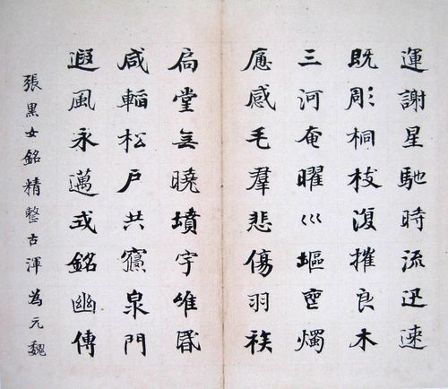 何绍基《临张黑女墓志》纸本楷书 清代书法 超高清图片