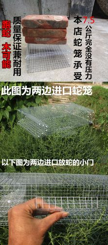 5个包邮 大号专业捕蛇笼 捕蛇器 扑蛇笼装蛇笼抓蛇笼诱蛇笼捉蛇笼
