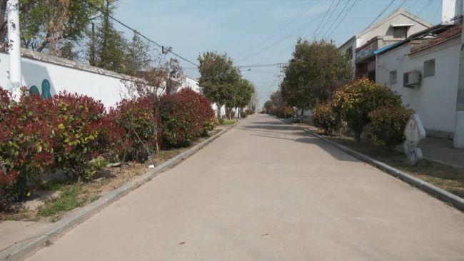 兴隆镇:以绿化带动人居环境再上新台阶