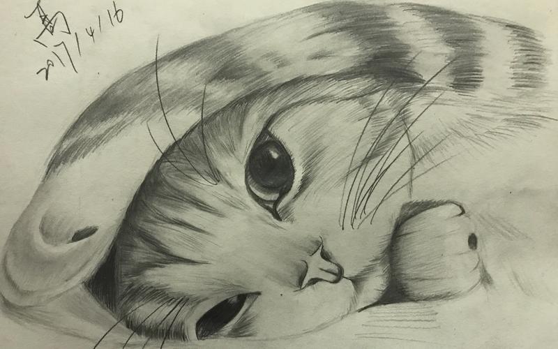 【素描】清华程序员教你画画-猫