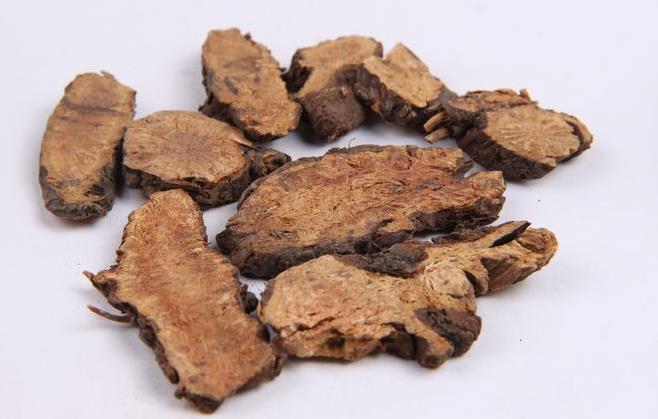 中药地榆的功效与作用图片