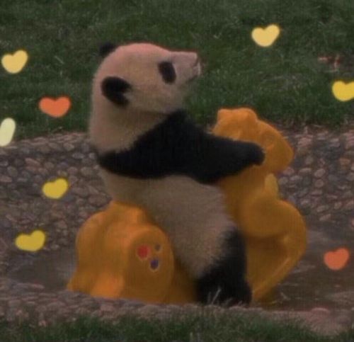 沙雕头像等我变沙雕回来找你