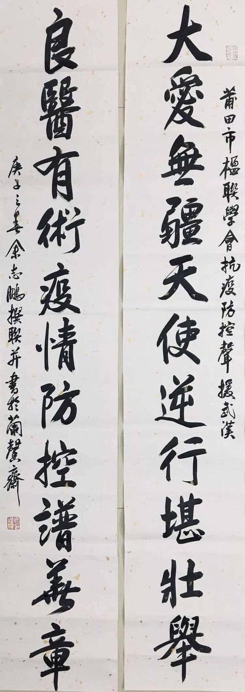 大爱无疆,临危抗疫扬医德; 精诚有道,冒险消灾壮国威.