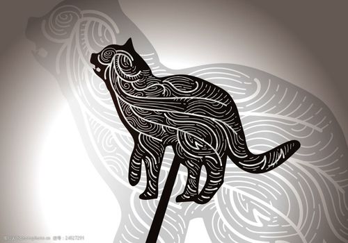 创意手绘花纹猫咪插画