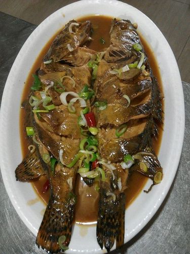 家炖桂鱼的做法