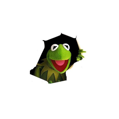 [halfull] 毛绒公仔 玩偶 挂件 青蛙 kermit 科密特 halfull