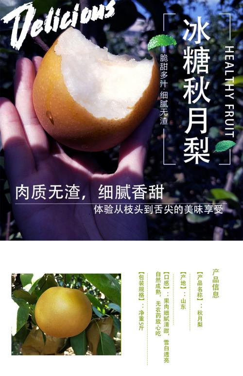 富鲁特山东正宗秋月梨羊脂香梨子发5斤