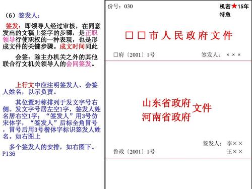 资格考试/认证 ppt模板 公文格式 山东省政府 文件 河南省政府 签发人