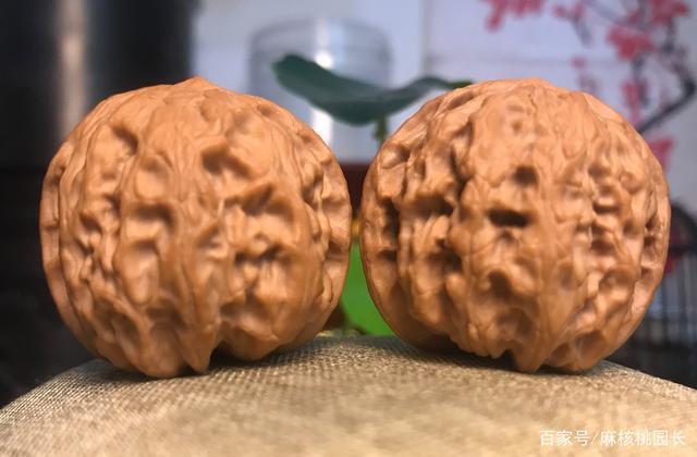 多图|凤凰岭狮子头的特点有哪些?它其实也叫凤凰山狮子头!