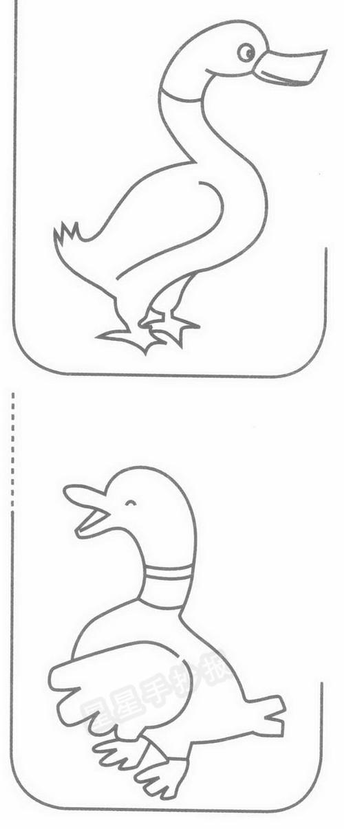 野鸭简笔画