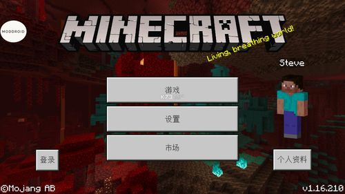 我的世界1.16.210.05 破解版