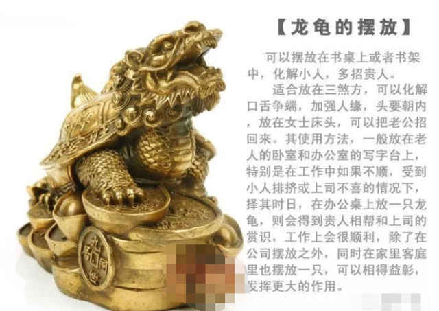 龙龟的风水作用,如何用龙龟催旺财运?