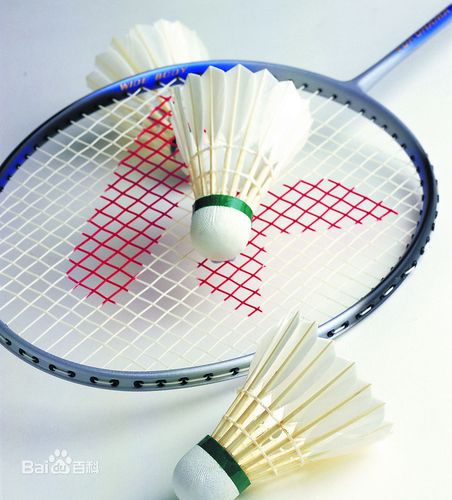 羽毛球是这样子
