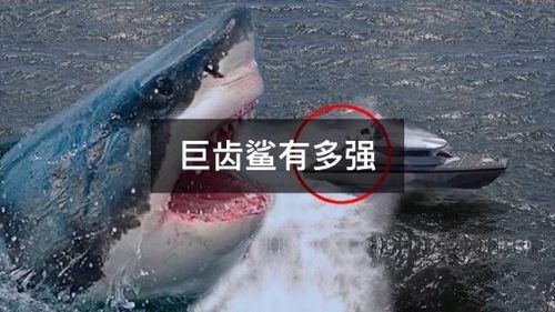 史前巨兽巨齿鲨到底有多强?现在是否还存在?