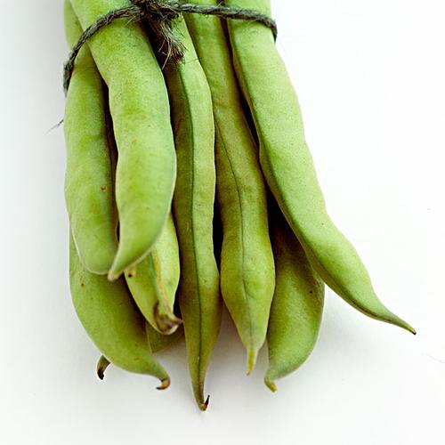 豆图片_豆图片大全_全景图片