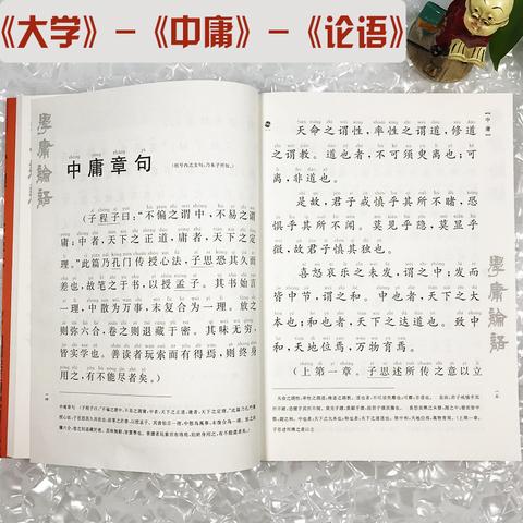 大儒图书专营店:正版 学庸论语 大字注音版简繁对照全文含大学中庸