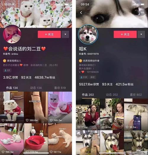 教程抖音求关注背景图抖音上背景图