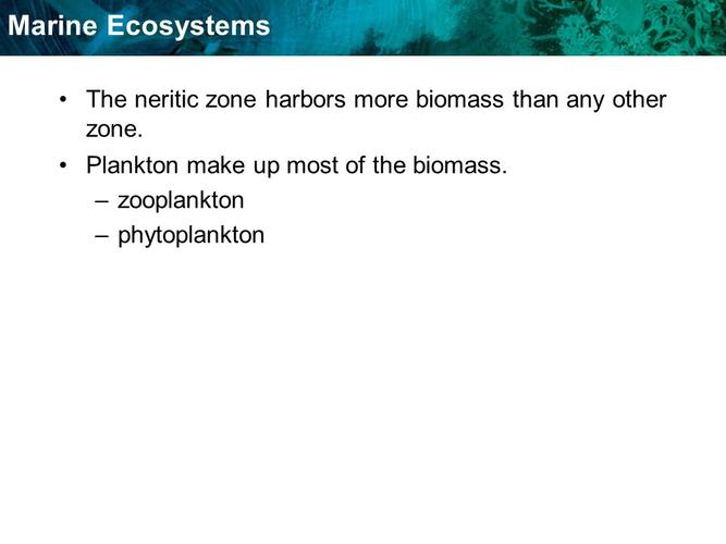 zone—from neritic zone to base of continental shelfabyssal zone