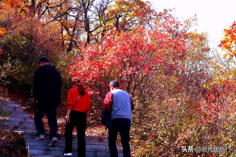 香山让每一眼的景色成为记忆深处的美好北京香山看红叶出行注意事项1