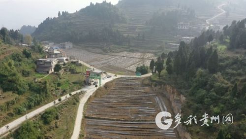 仁怀茅坝镇盘活冬季闲置土地种植蔬菜促农增收