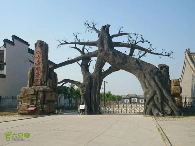 德州day 1四女寺