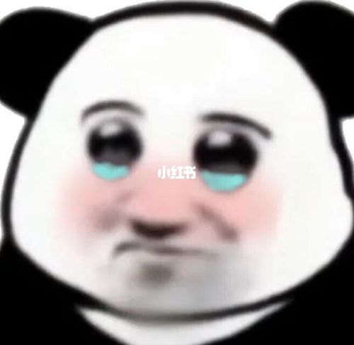 小熊猫大眼萌_大眼萌_小熊猫_表情包_大眼睛_熊猫头表情包_素材_表情
