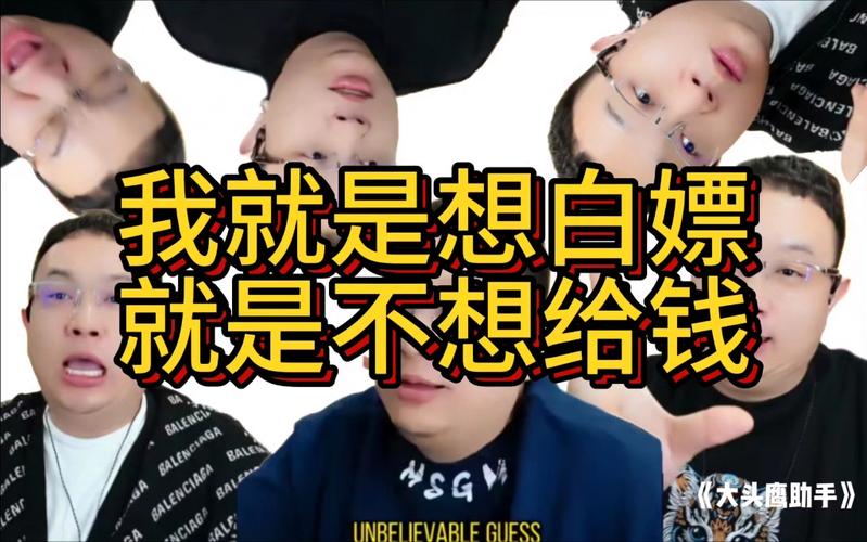 大头鹰助手 我就是想白嫖,就是不想给钱