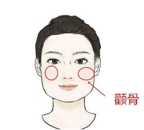美术头像颧骨