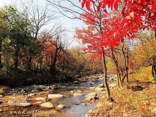 辽宁 本溪 洋湖沟村  (点击查看大图) 本溪洋湖沟,又称画家村,位于