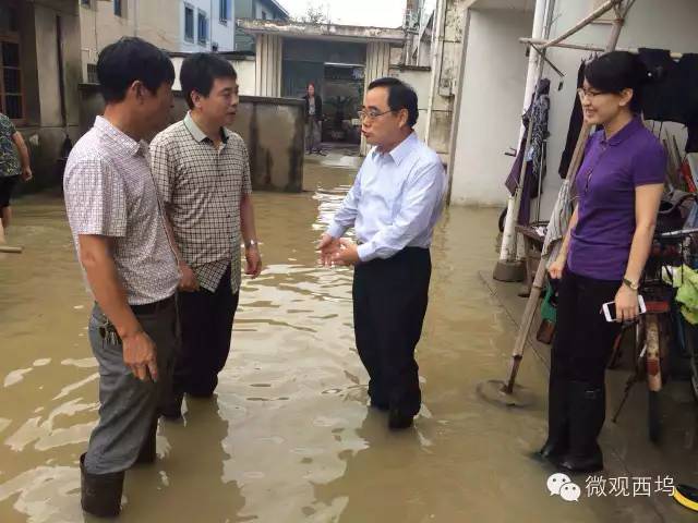 张文杰,高浩孟等到西坞街道一线检查指导抗台工作