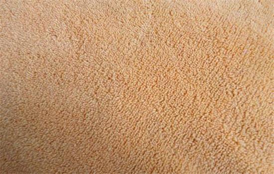 珊瑚绒是什么面料